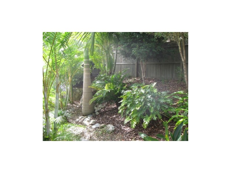 17 Longwood Drive, Peregian Springs QLD 4573