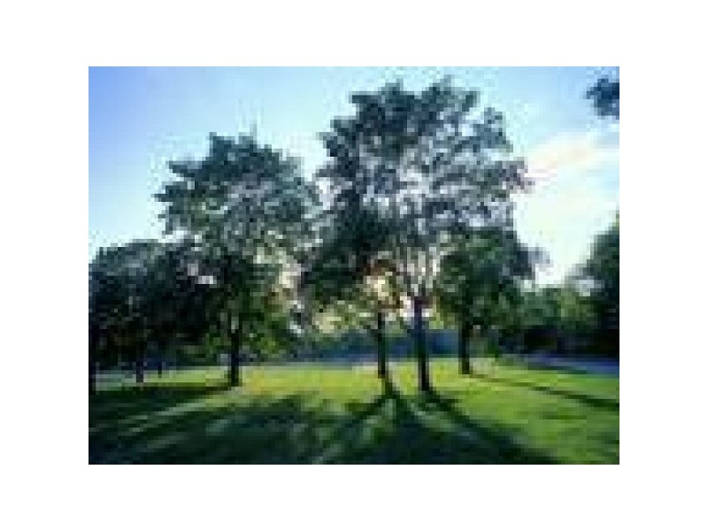 lot 5 Booyong place, Bridgeman Downs QLD 4035