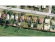Hendra QLD 4011