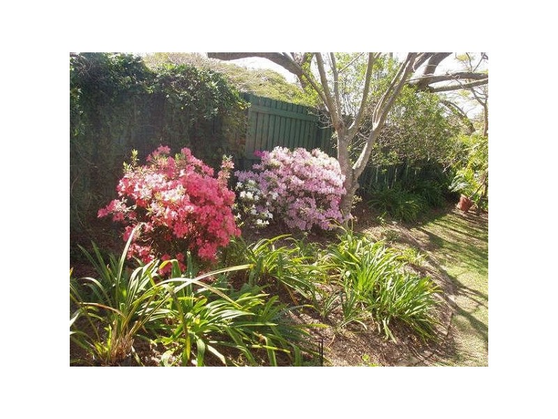 10  Kidston Street, Ascot QLD 4007