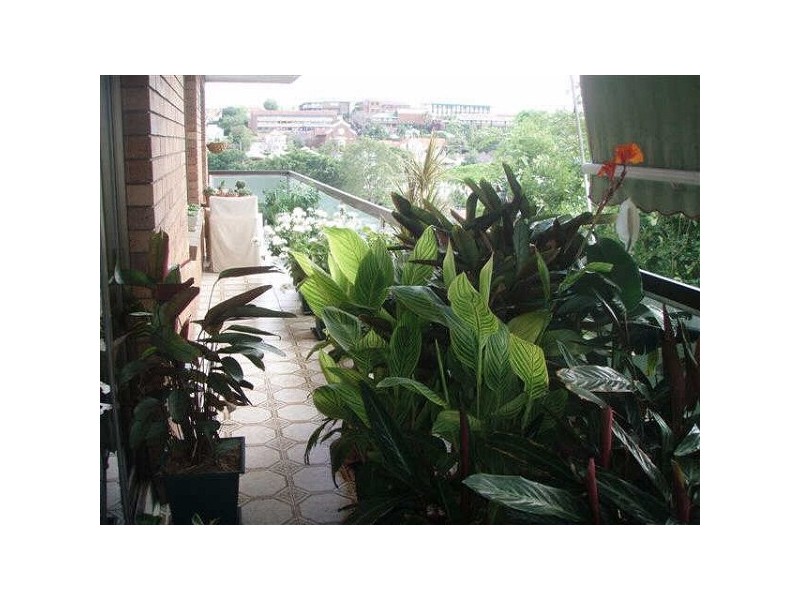 9/26-30  Balowrie Street, Hamilton QLD 4007