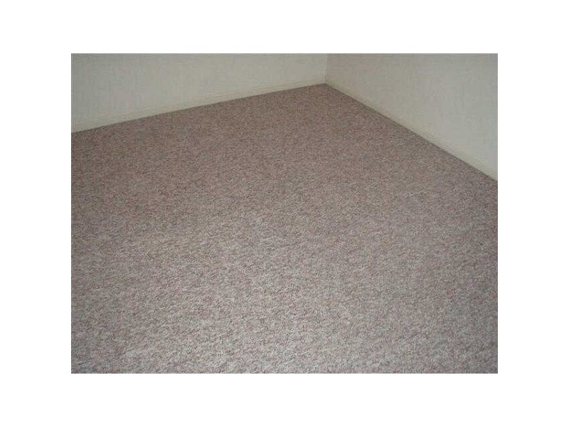 2/42  David Street, Nundah QLD 4012