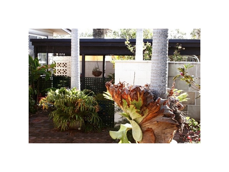 4 Jippi Avenue, Southport QLD 4215