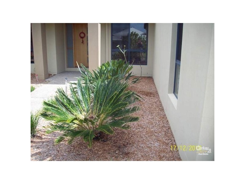 111 Crestwood Drive, Molendinar QLD 4214