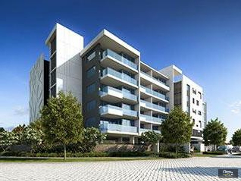 Biggera Waters QLD 4216