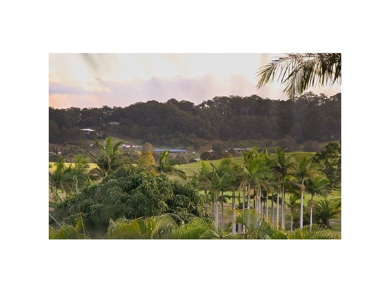 11 Nabal Street, Bli Bli QLD 4560
