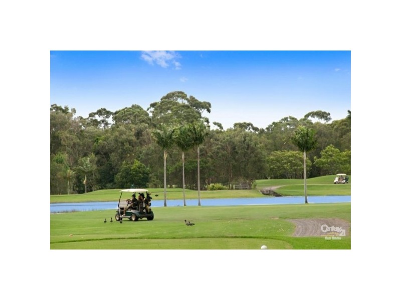 31 Hazeltine Court, Maroochydore QLD 4558