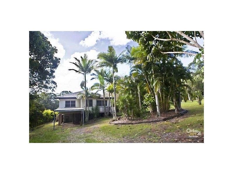 247 Diddillibah Road, Diddillibah QLD 4559