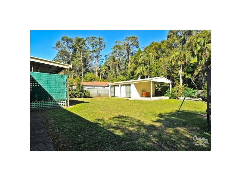 31 Rainbird Court, Palmwoods QLD 4555