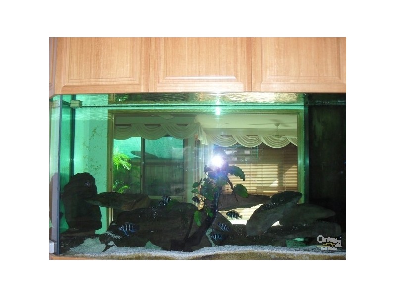 120 Tepequar Street, Maroochydore QLD 4558