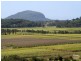 5 Willis Road, Bli Bli QLD 4560