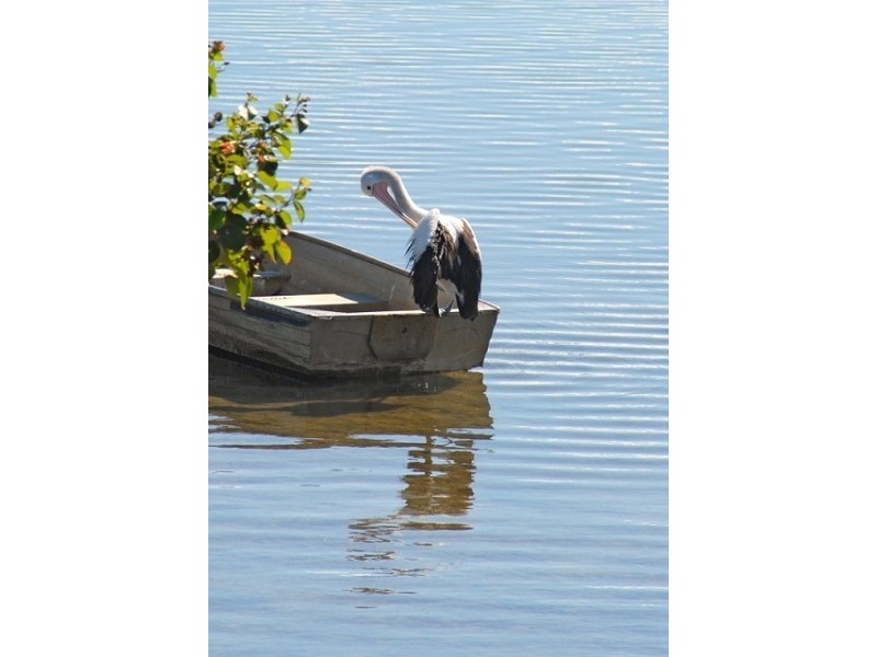 6 105 Bradman Avenue, Maroochydore QLD 4558