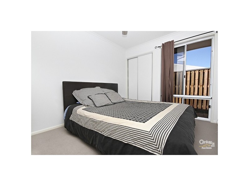 11 Spoonbill Drive, Forest Glen QLD 4556