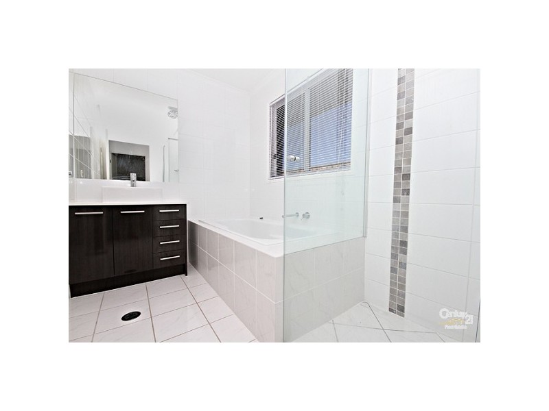 11 Spoonbill Drive, Forest Glen QLD 4556
