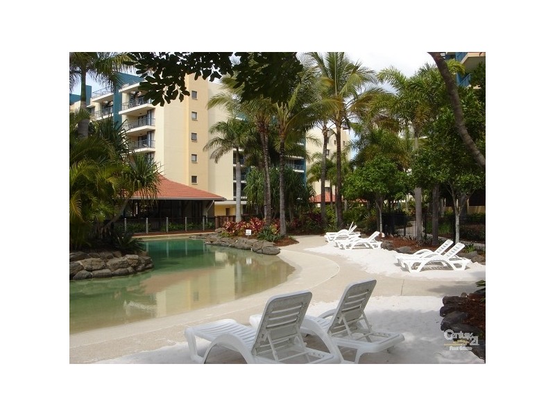221/102 Alexandra Parade, Alexandra Headland QLD 4572