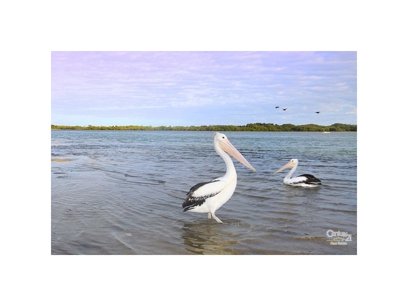 1/14 Wright Street, Maroochydore QLD 4558