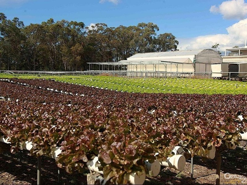 Morayfield QLD 4506