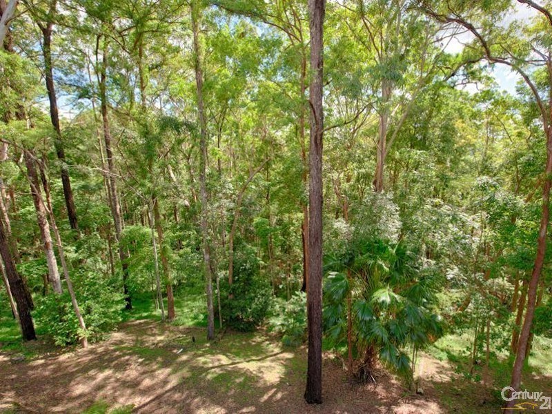 197 Mons School Road, Buderim QLD 4556