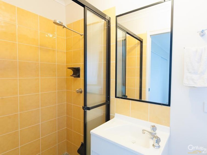 117 Millwell Road, Maroochydore QLD 4558