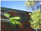 Mooloolaba QLD 4557