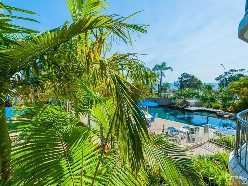 15/274 Alexandra Parade, Alexandra Headland QLD 4572