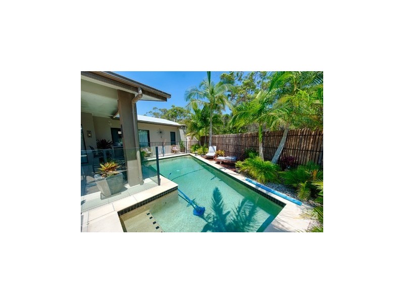 16  Sauger Court, Mountain Creek QLD 4557