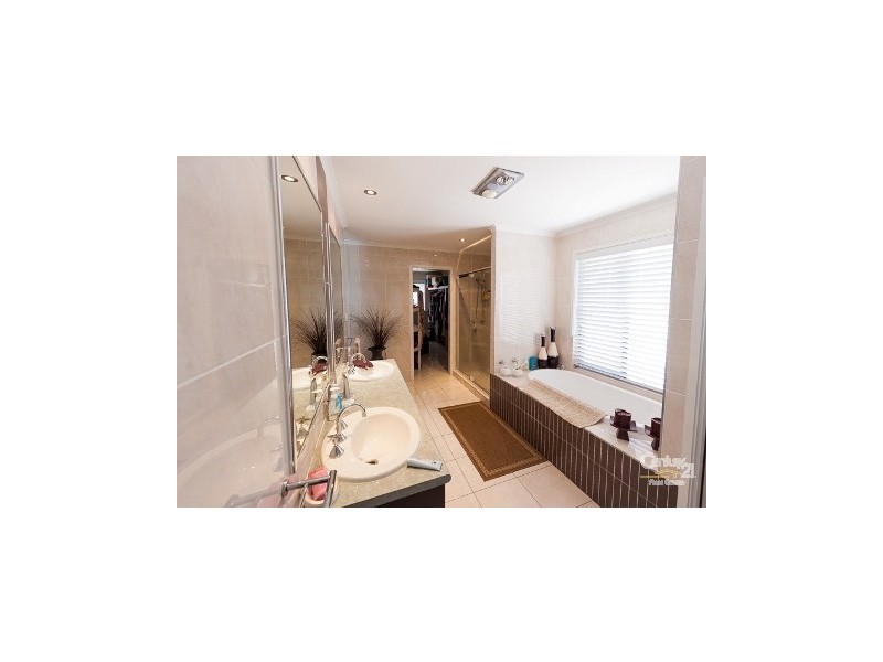 16  Sauger Court, Mountain Creek QLD 4557