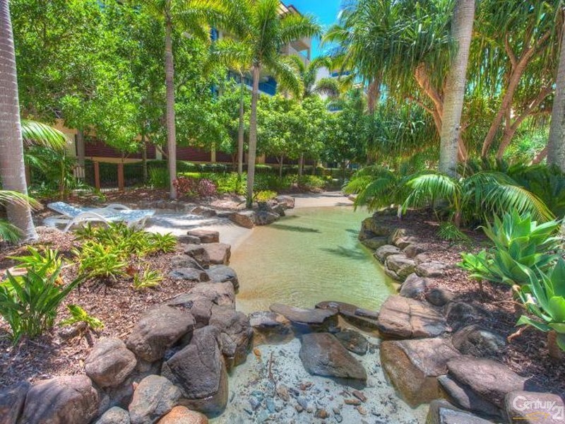 534/21 Wirraway Street, Alexandra Headland QLD 4572