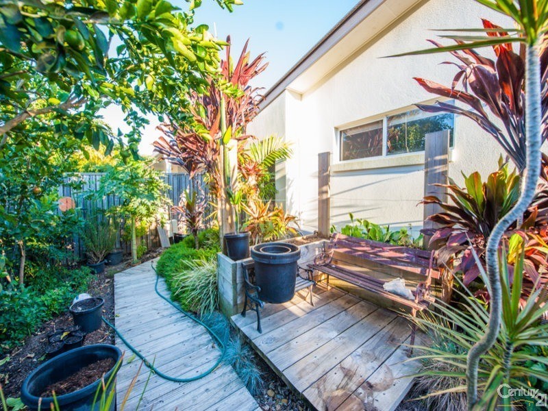 33 Peppertree Circuit, Maroochydore QLD 4558
