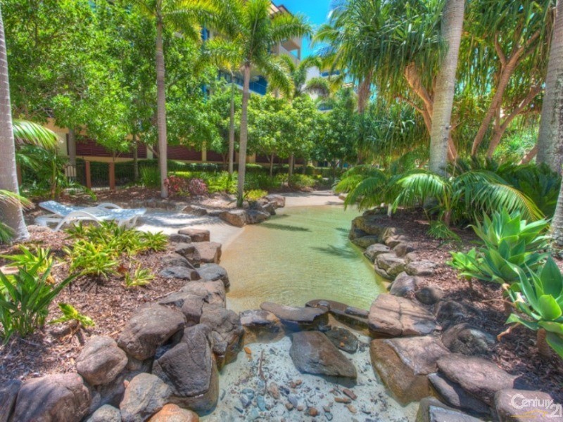 243/9 Wirraway Street, Alexandra Headland QLD 4572