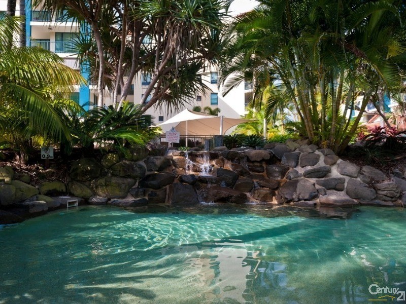 432/21 Wirraway Street, Alexandra Headland QLD 4572