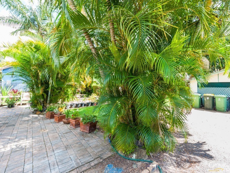 244 Broadwater Avenue West, Maroochydore QLD 4558