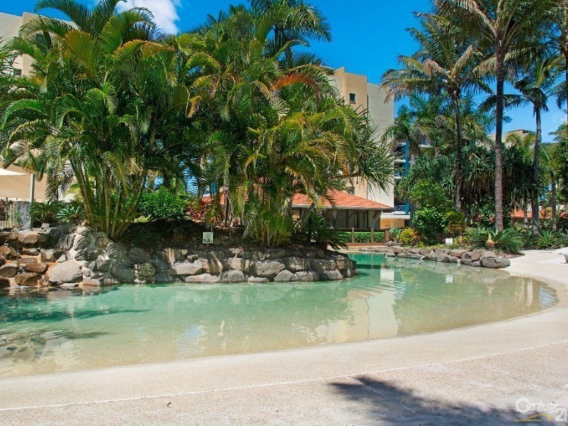 434/21 Wirraway Street, Alexandra Headland QLD 4572