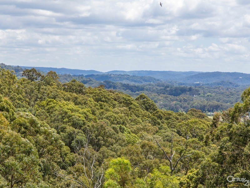 19 Jarrah Road, Buderim QLD 4556