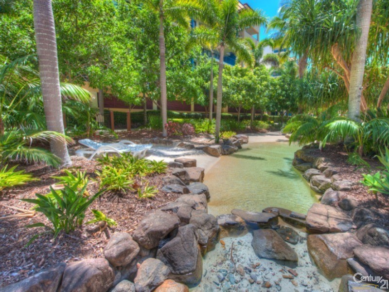 323/10 Okinja Road, Alexandra Headland QLD 4572