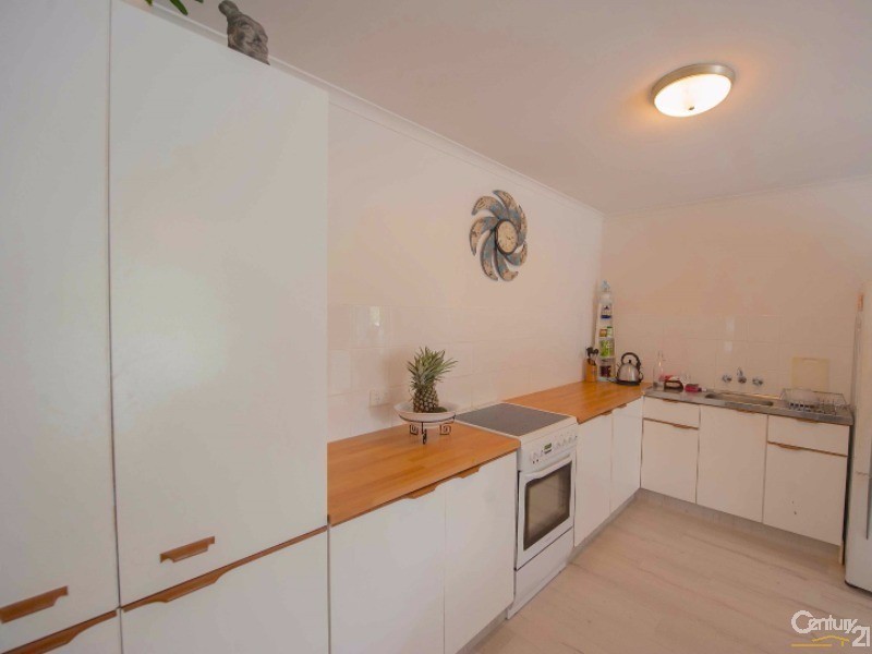 73 Millwell Road, Maroochydore QLD 4558