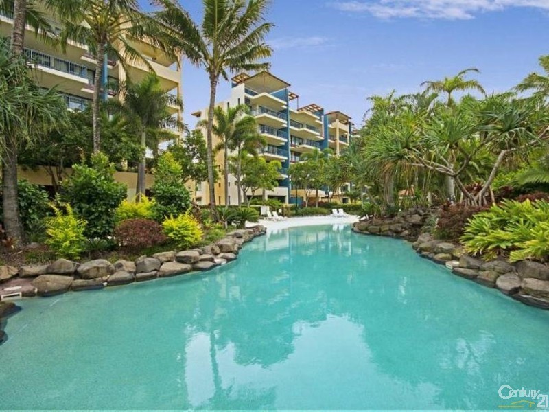 143/9  Wirraway Street, Alexandra Headland QLD 4572