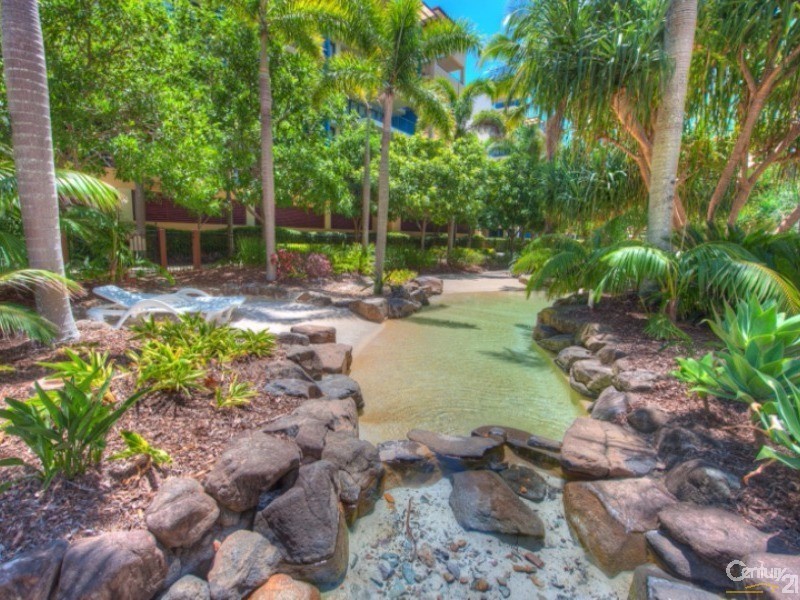 541/9  Wirraway Street, Alexandra Headland QLD 4572