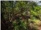 38 Jarrah Road, Buderim QLD 4556