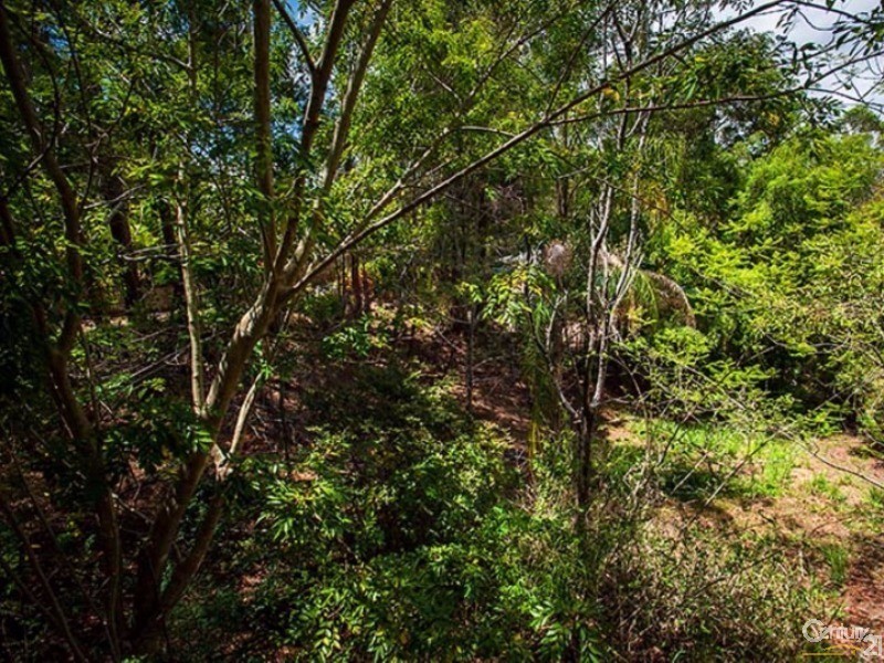 38 Jarrah Road, Buderim QLD 4556