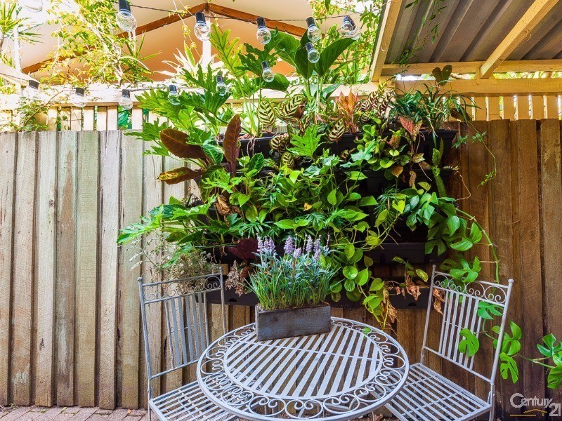 3 Stanley Street, Palmwoods QLD 4555