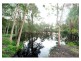759 Old Maroochydore Road, Forest Glen QLD 4556
