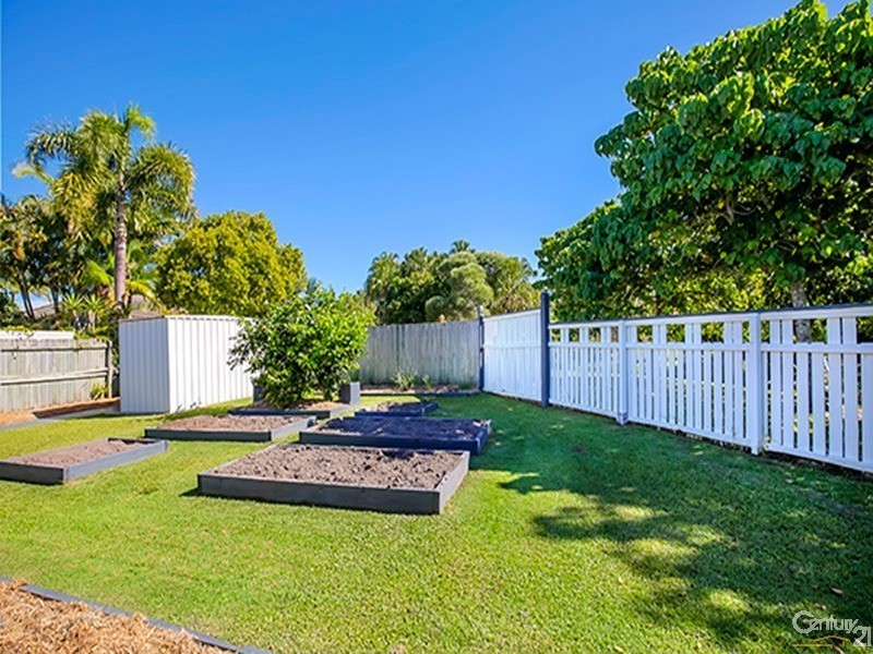16 Mountain Ash Drive, Mountain Creek QLD 4557