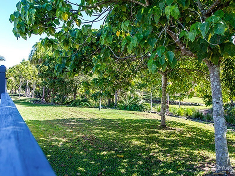 16 Mountain Ash Drive, Mountain Creek QLD 4557
