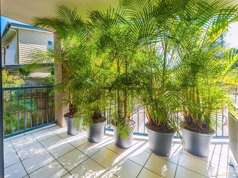 1/87 Duporth Avenue, Maroochydore QLD 4558
