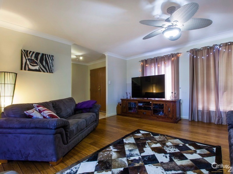 8 Coho Court, Mountain Creek QLD 4557