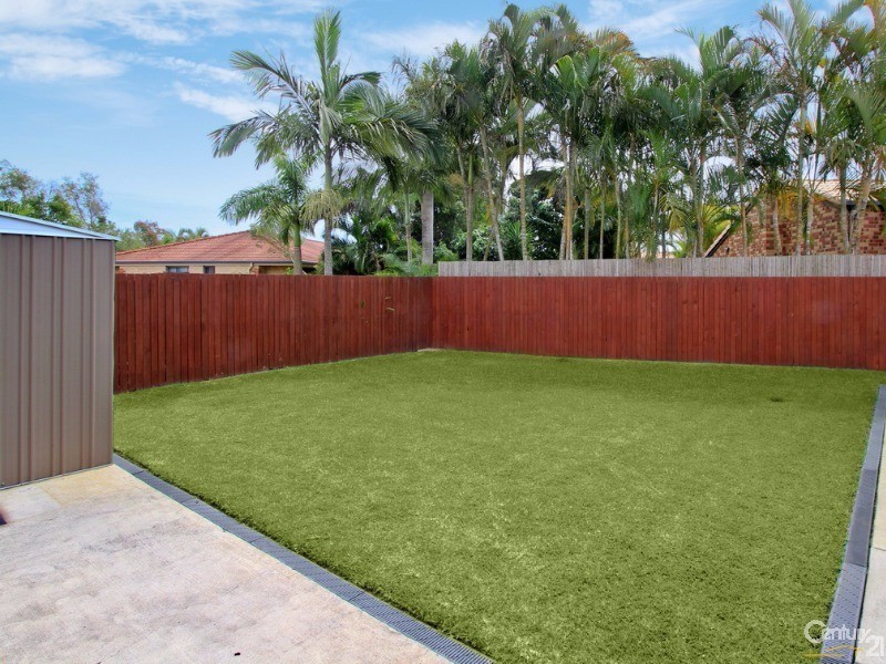 11 Calluna Place, Mountain Creek QLD 4557