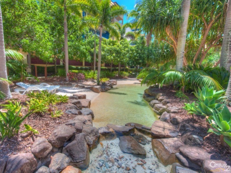 232/21 Wirraway Street, Alexandra Headland QLD 4572