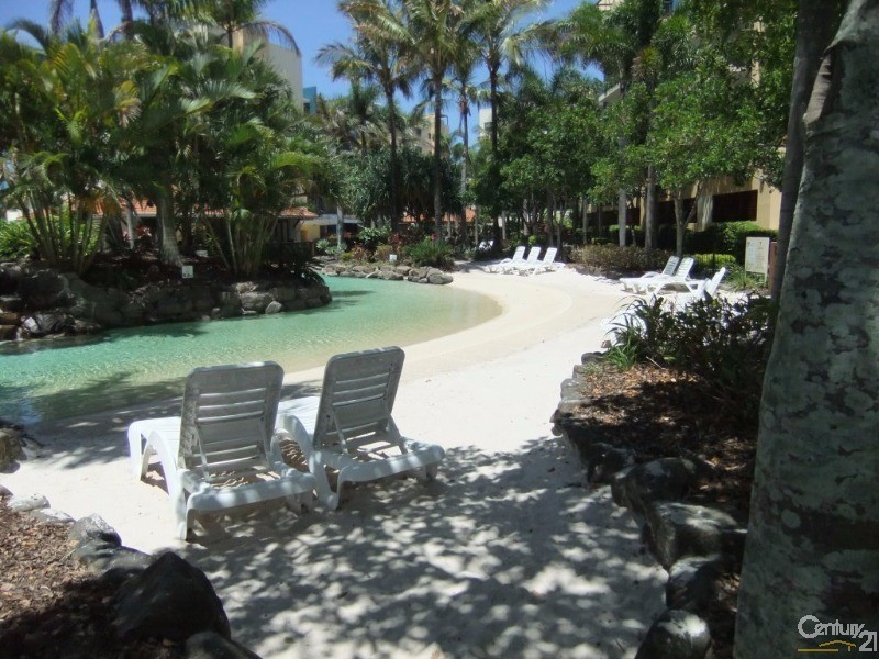 232/21 Wirraway Street, Alexandra Headland QLD 4572