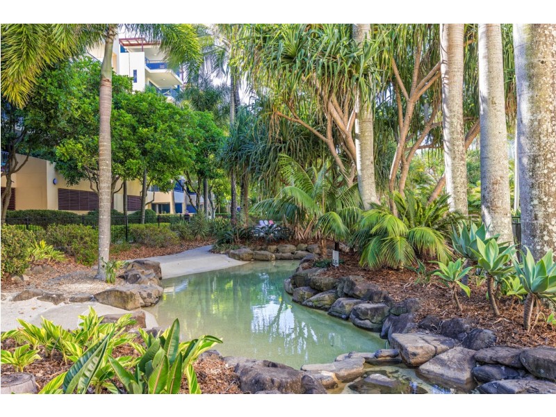 614/102 Alexandra Parade, Alexandra Headland QLD 4572